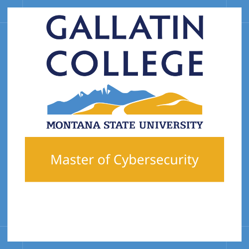 Gallatin College Master of Cybersecurity 